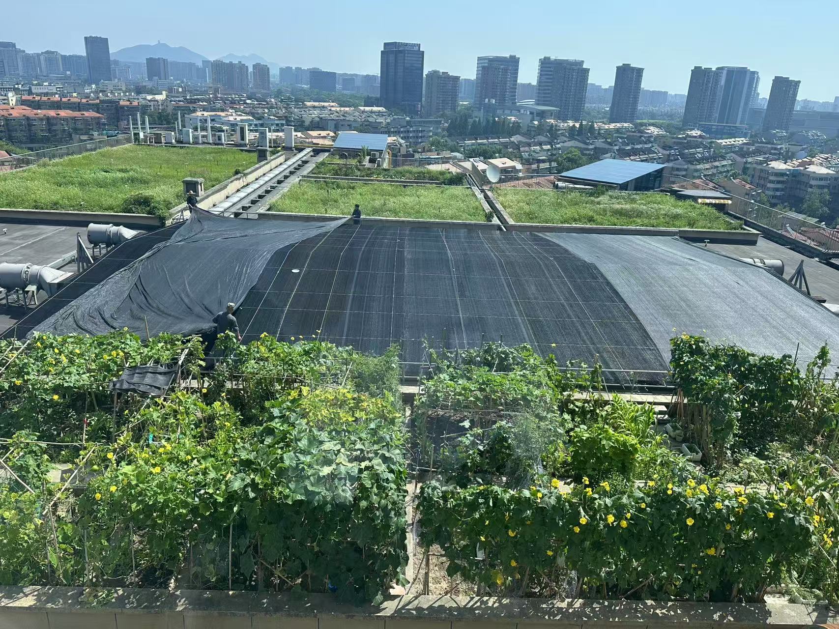 水晶城巧施”遮陽術“，為節(jié)能降耗注入清涼動力