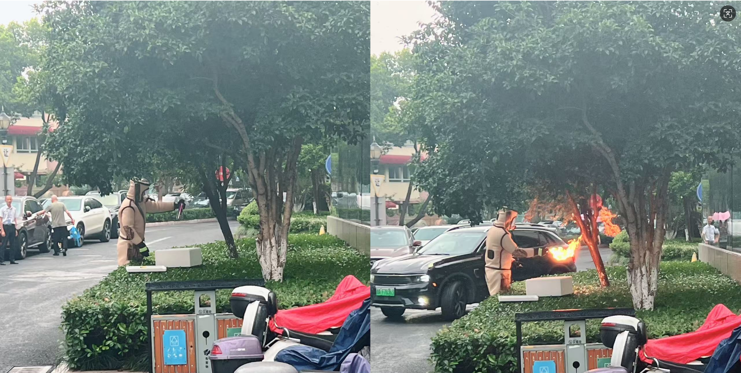 安全守護零距離，水晶城快速處置外圍蜂群隱患