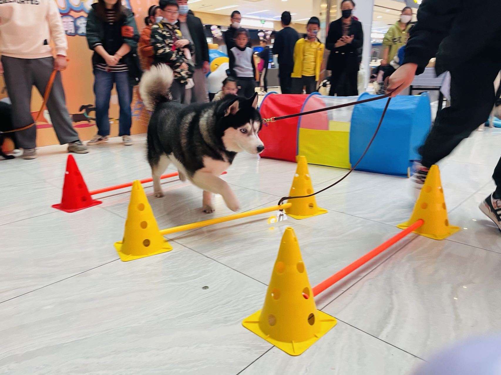 微信圖片_20221124173151.jpg 微信圖片_20221124173151.jpg